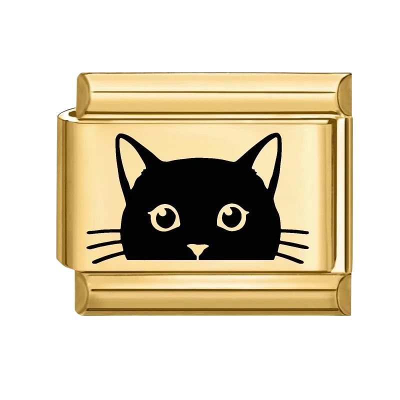 Animales