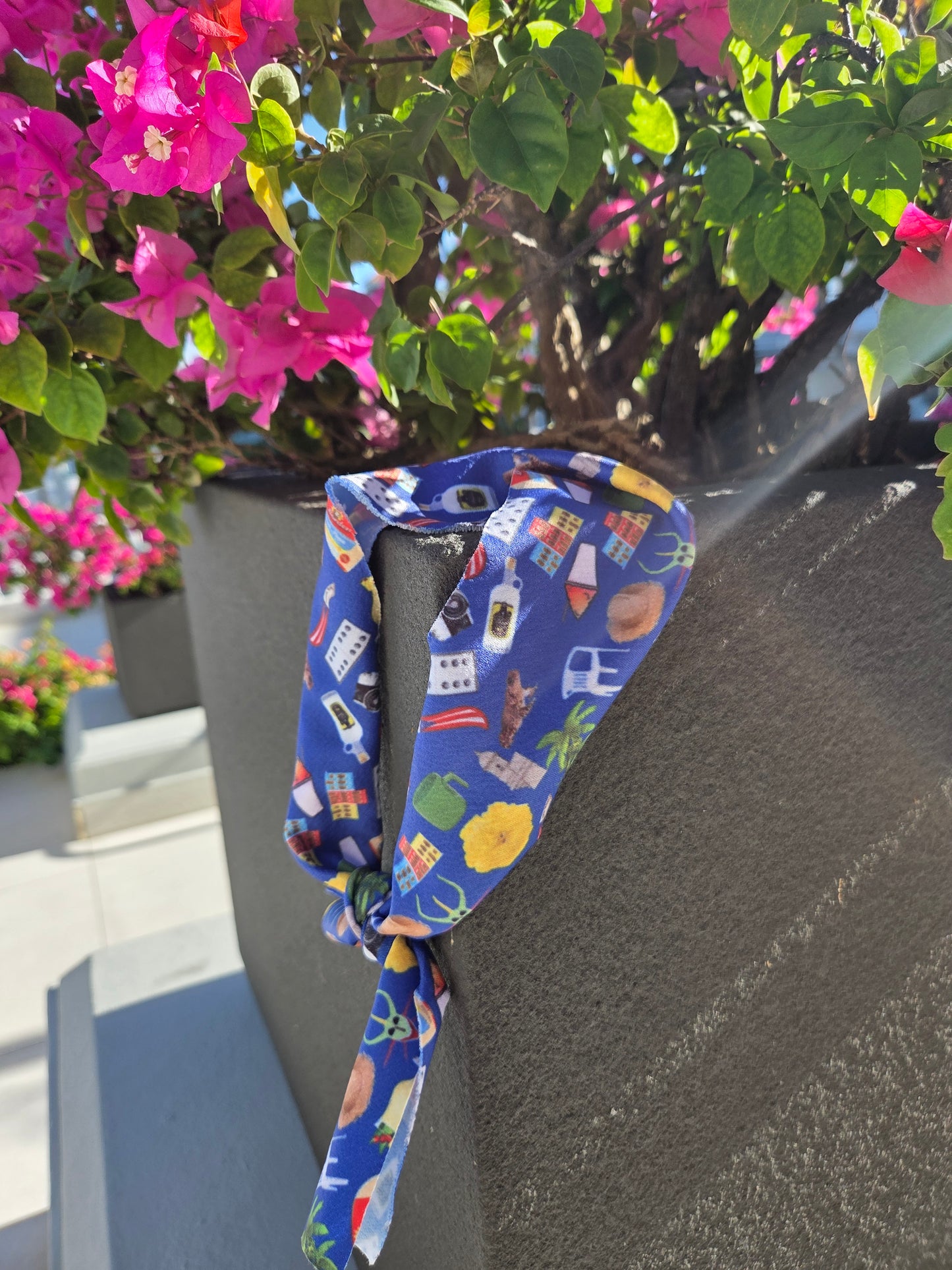 Bandanas peerre 🌺🇵🇷