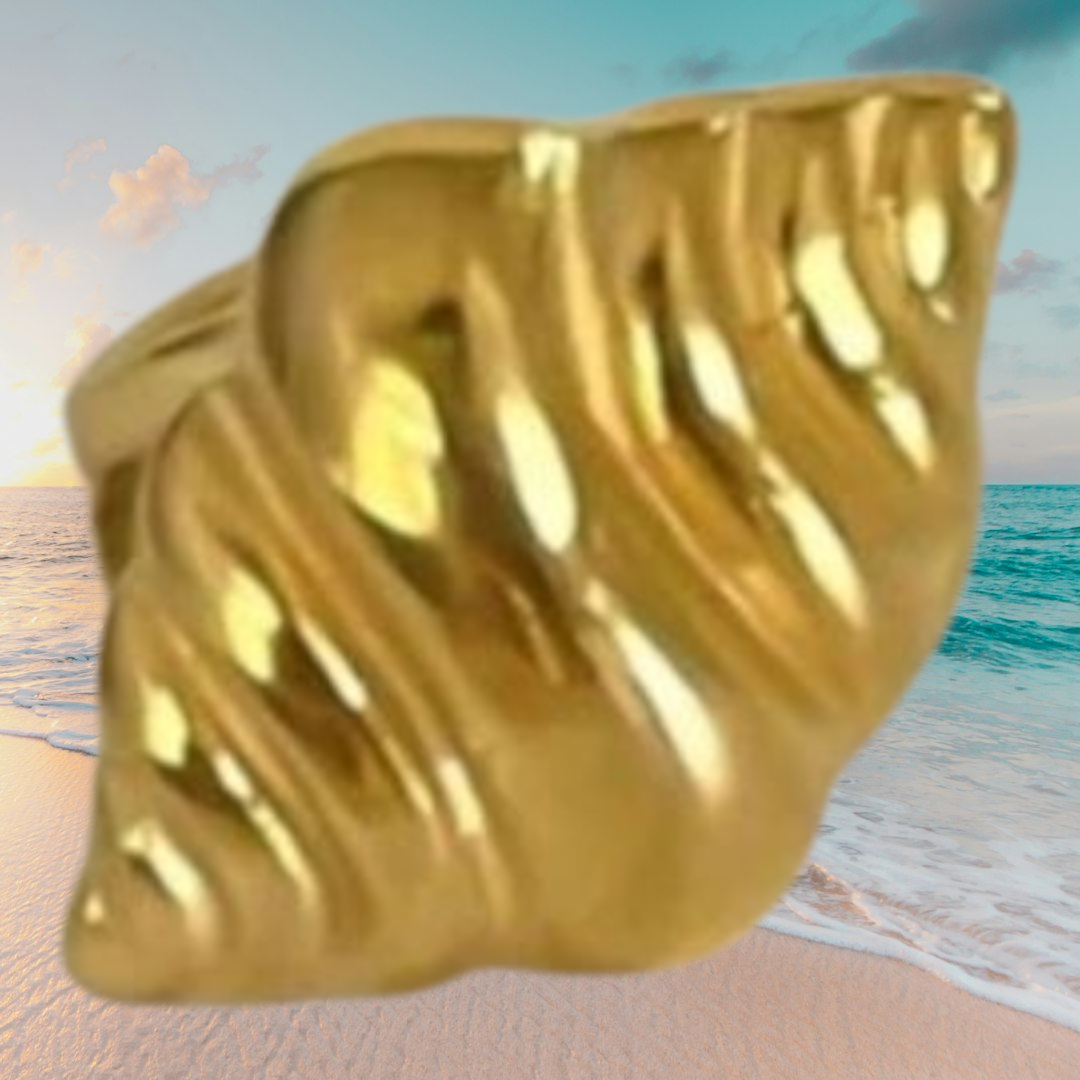 Océano rings