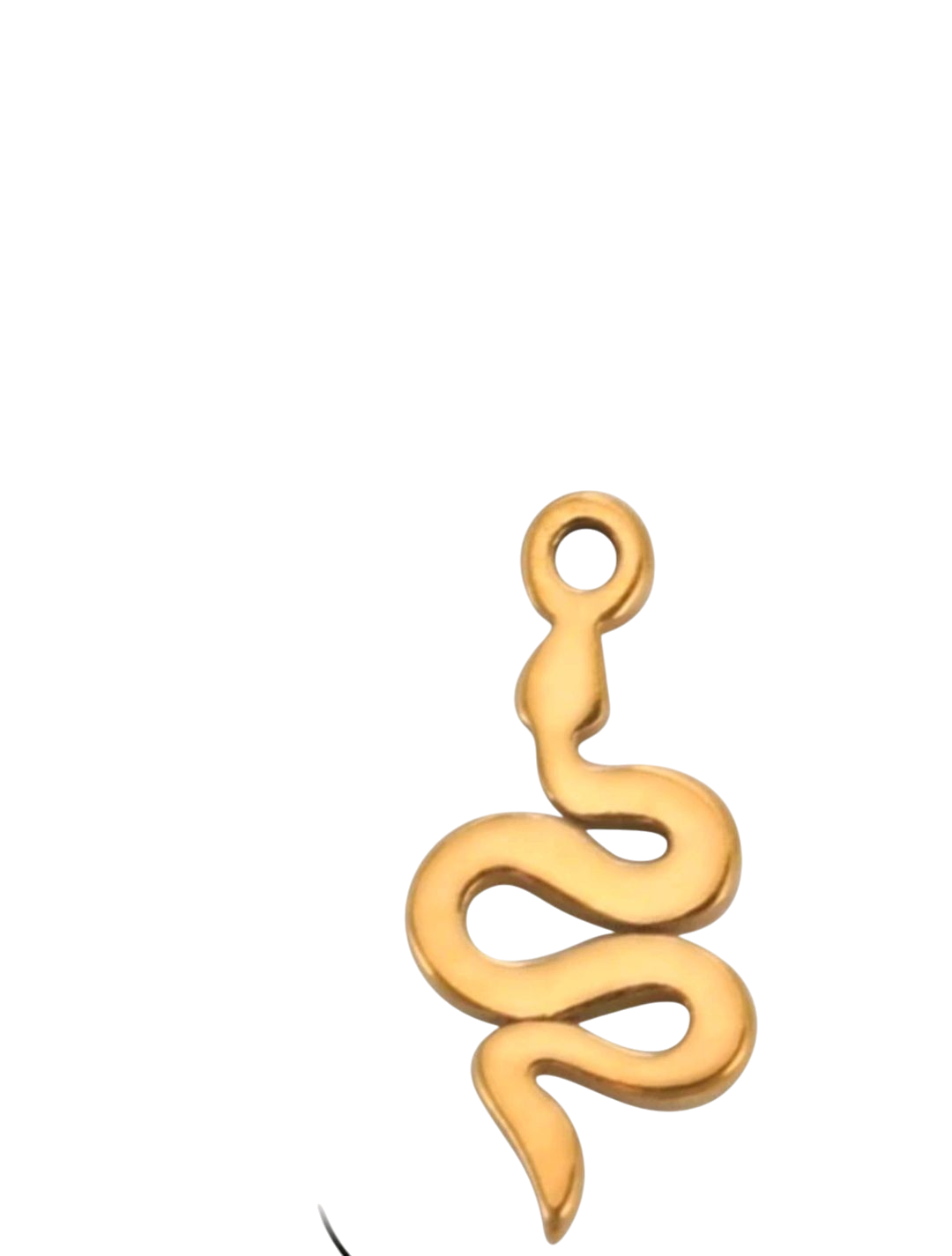 Snake charms