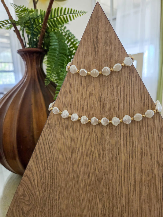 Sea shell set